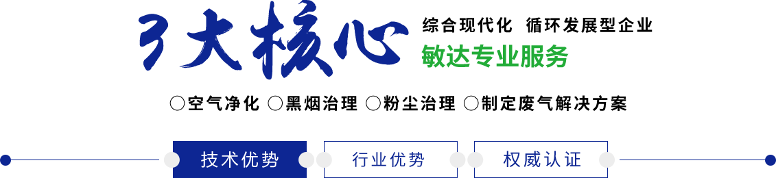 夜夜躁日日躁狠狠躁敏达环保科技（嘉兴）有限公司